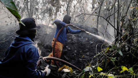 In this photo taken on October 10, 2016, shows rangers extinguishing a fire in Seulawah, Aceh Besar district, in Aceh province, after the fire scorched hectares of pine trees.