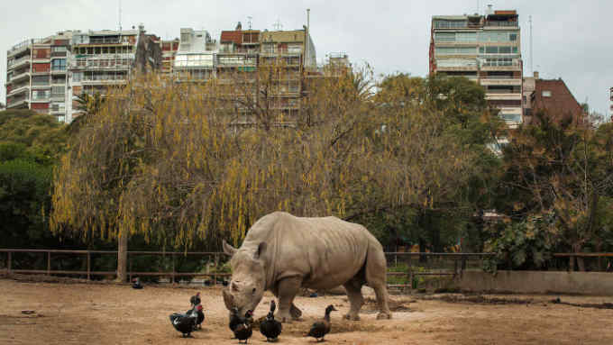 June 24, 2016 - Buenos Aires, Argentina: Buenos Aires closed down its 140-year-old zoo, arguing that keeping wild animals in captivity and on display is degrading.