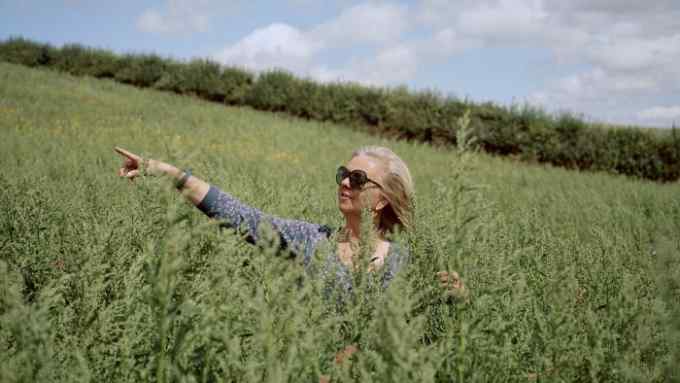Jemma Batten, co-founder of Marlborough Downs Nature Enhancement Partnership, standing in a mix of quinoa, millet and phacella. (C) Jon Tonks for the FT
