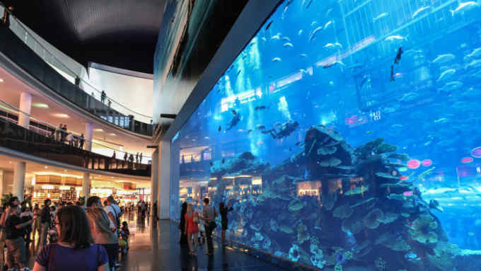 UNITED ARAB EMIRATES - FEBRUARY 15: The Dubai Aquarium and Under Water Zoo located in Dubai Mall. The Dubai Mall is the world's largest shopping mall based on total area and fourteenth largest by gross leasable area. Dubai Mall, Dubai, Dubai, United Arab Emirates. (Photo by Babak Tafreshi/National Geographic/Getty Images)