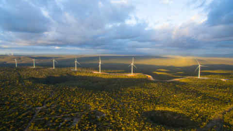 The hinterland of Rio Grande do Norte is home to several wind farms