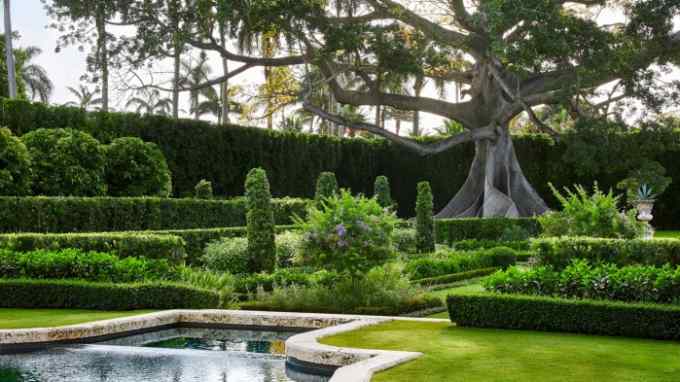 large tree, hedges and water pool