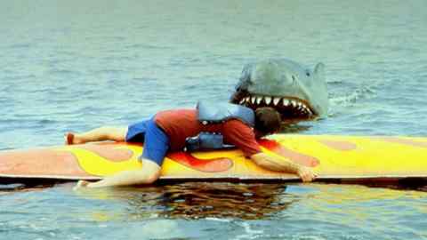 Image from Jaws 2 movie. ‘ I know what a shark looks like . . . And you’d better do something about this one, because I don’t intend to go through that hell again’