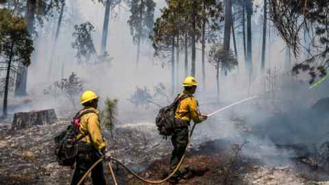 Firefighters put out wildfire in a forest