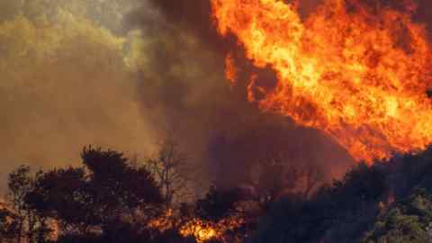 Flames chew through chaparral brush at the Alisal Fire in Goleta, California