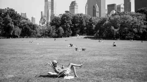 Central Park by Luc Kordas