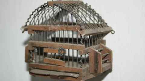 Salvador Dalí’s cricket cage