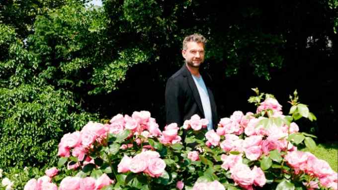 A man with a big quiff and glasses stands in the middle ground behind a large bush of pink roses