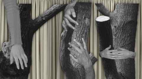 A monochromatic installation shows human hands and arms caressing, clinging onto or hugging tree trunks against a curtain-like, white background
