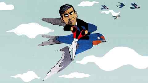 Ellie Foreman-Peck illustration of Rishi Sunak cliping the wing of a migrating bird he is riding
