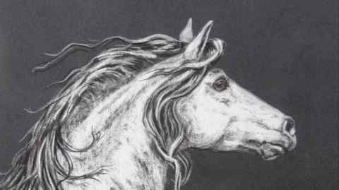 The inspiration: The Andalusian Horse, 2018, by Axelle Costerousse