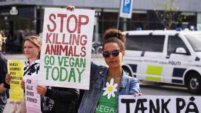 Woman protesting against cruelty to animals and eating meat with sign saying “Stop Killing Animals”