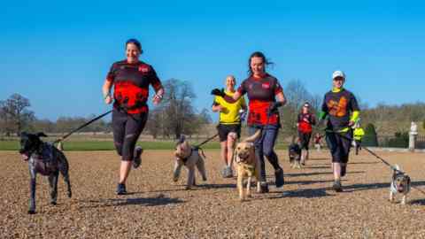Runners jogging over muddy ground with their dogs at Wimpole Estate in Cambridgeshire