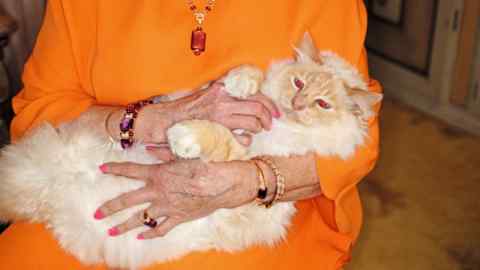 Cat being cuddled by a person in an orange dress