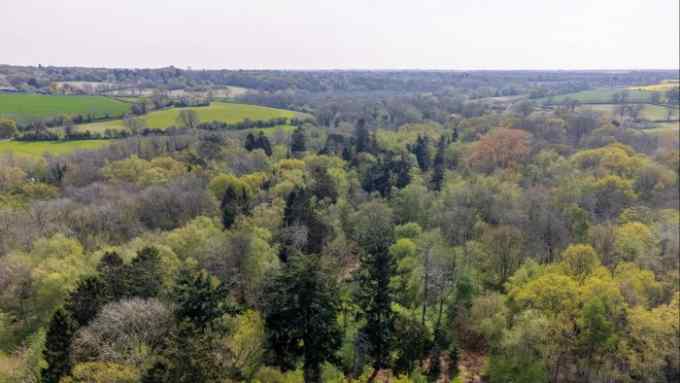 Aerial view of ancient woodland at Wendling Beck