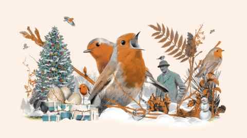 Illustration of robins, a man and a Christmas tree