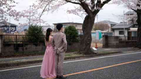 A couple poses for a wedding photograph near cherry trees in bloom in the Yonomori area on April 2, 2023 in Tomioka, Fukushima, Japan.